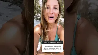 Your dogs live on your boat part 2 #shorts  #boatdog #sailboatlife