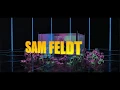 Sam Feldt - Post Malone Feat RANI