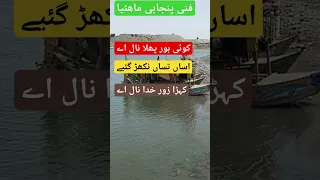 Funny Hindko Mahiye New Hindko Mahiye Hindkomahye Song Youtubeshort Hazarasong Punjabi 