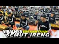 Download Lagu DAUL SEMUT IRENG GHELLENG SOKOH ‼️