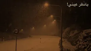 ما استاهل اني  هادي الحيدري مسرعه لايك دندنها