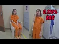 Criminology Student Arrested for DUI in Pullman WA