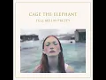 Download Lagu Trouble - Cage The Elephant | Instrumental