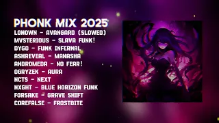 top 10 viral aura phonk songs viral brazilian phonk mix