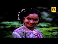 Download Lagu Ye Pulla Rosapoo - Video Song (Tamil) | Adhisaya Piravigal | S. P. Balasubrahmanyam | Vani Jairam