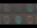 Arnold for Maya Creating All Kinds of Bubbles using Thin Film Tutorial