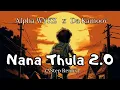 Lagu Alpha WYKZ x Da Kamoow - Nana Thula 2.0 (3Step Remix)