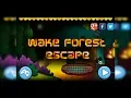 Wake Forest Escape Ninitube