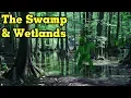 World Building - Swamp Wetlands