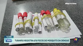 Dengue preocupa Tubarão com quase 700 focos em 2025