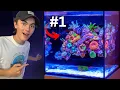 Top 5 BEST Reef Tanks On The Internet!