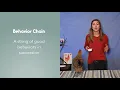 Clicker Training