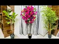3 Amazon Big Artificial Plants for Home Decor Amazon Interior Decor Finds