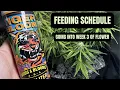 Fox Farm Feeding Schedule Week 3 Flower How I Mix Tiger Bloom Step by Step