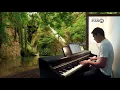 ♪ Lovin You - Minnie Riperton /Piano Cover
