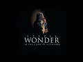 Stevie Wonder - Blowin' In The Wind