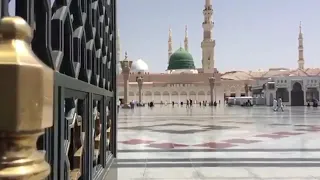 مديح محمد بدر البدور 