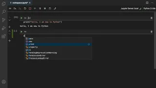 Learn Python in 60 Seconds Episode 1 Printing and Output