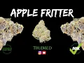 Apple Fritter Strain Review - Tru Med