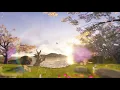 Feel the Nature | Birds singing | 432Hz | Water Sounds | Meditation Music