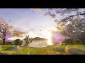 Download Lagu Rasakan Alam | Kicau Burung | 432Hz | Suara Air | Musik Meditasi
