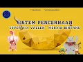 WAHH!! SISTEM PENCERNAAN COVER ( Meraih bintang - Via Vallen) ASIAN GAMES