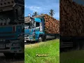 Download Lagu Blauwe vrachtwagen gespot met Basuri-hoorn, #trending #virals #shorts #trucking #fypシ