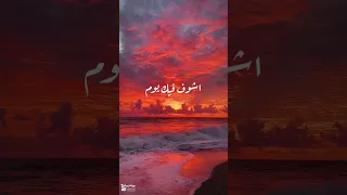 اشوف فيك يوم عبد الفتاح الجريني 