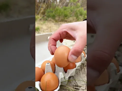 Crazy Egg lifehack😂 #survival