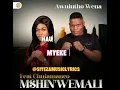 Myeke (feat. Sne Ntuli) · Mshinwemali · Sne Ntuli