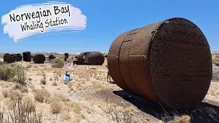 E82 – An Abandoned Whale Station (Norwegian Bay) and Coral Bay
