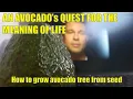 Growing Avocado from seed - Ad Astra Interstellar Parody