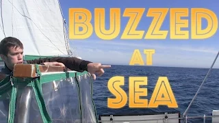 Buzzed at Sea  | #43 | DrakeParagon Sailing Season 3