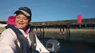 Тест двигателя Yamaha 4 stroke 2,5 л.с после сервисного обслуживания!