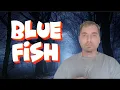 Blue Fish Sushi Review Cali Proof Vlog