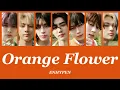 Download Lagu Orange Flower (You Complete Me) - ENHYPEN (엔하이픈)【パート分け/日本語字幕/歌詞/和訳/カナルビ】