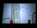 What are Branch Node Loop Mesh in a circuit
