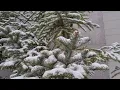 Download Lagu Oh Christmas Tree - Boney M