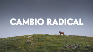 Dejé mi EQUIPO HABITUAL y esto es lo que pasó