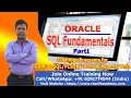 Oracle SQL Fundamentals SQL Complete Tutorial SQL Crash Course