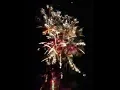 River Oaks RV Park Fireworks