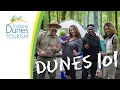 Where to Camp in the Indiana Dunes Dunes 101 Camping