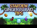 Lagu 13 Ginger Island Tips for Stardew Valley 1.6!