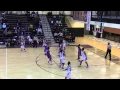 Brittanie Evans Basketball