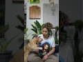 Buying a puppy on Lancasterpuppies com