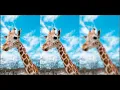 5 Blurring with OpenCV