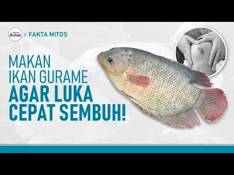 Ternyata Ikan Gurame Percepat Penyembuhan Luka, Ini Fakta Menarik Lainnya