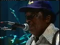 R.L. Burnside - Let My Baby Ride (Reverb Live)