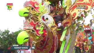 ngringet bareng voc nur salsa singa dangdut putra genades 2021