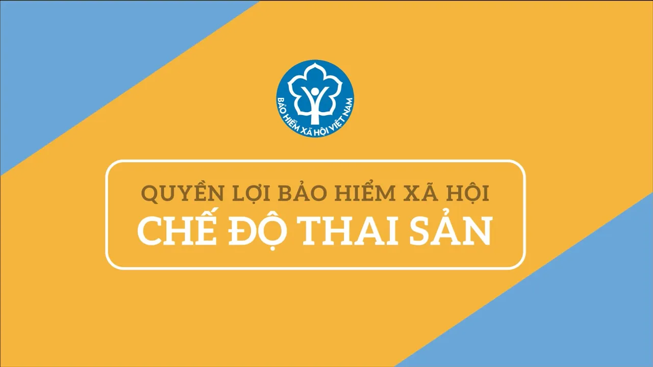 Outline Video Chế độ Thai sản